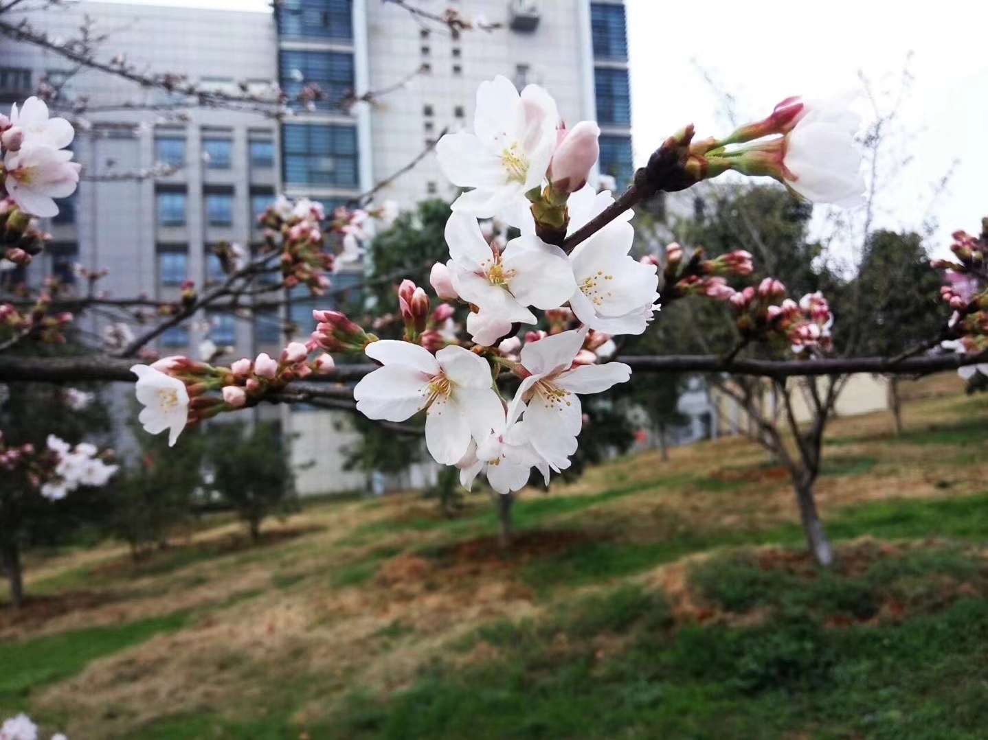 湖北第二师范学院自考